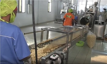 Linea per la lavorazione degli alimenti per l'infanzia